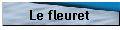Le fleuret